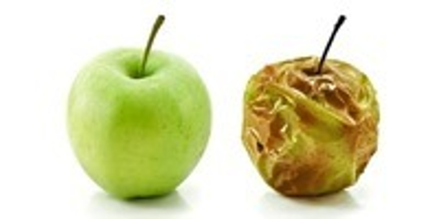 <p>くさる</p><p>thối, ôi thiu</p><p>腐ったものを食べてしまった</p><p>Ăn phải đồ ôi thiu</p>