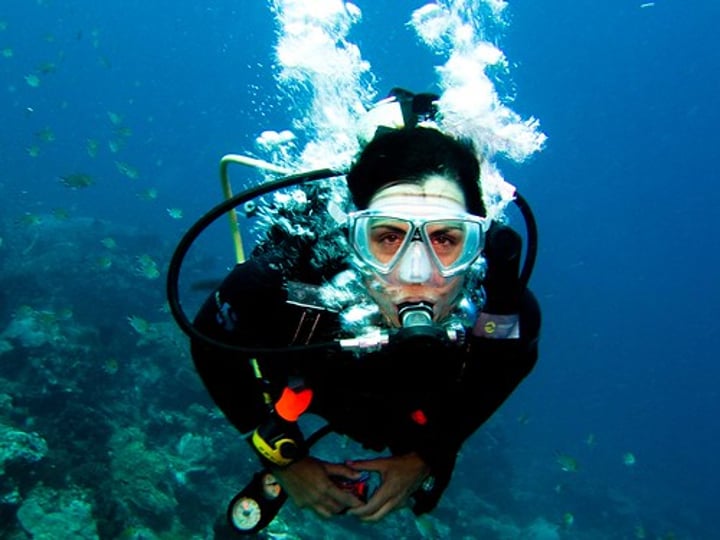 <p>to scuba dive/snorkel</p>