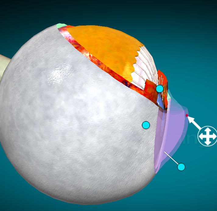<p>What layer of the eye is this?</p>