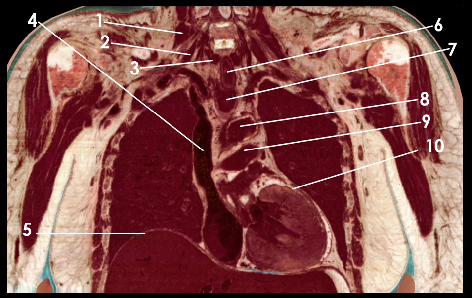 <p>9</p>