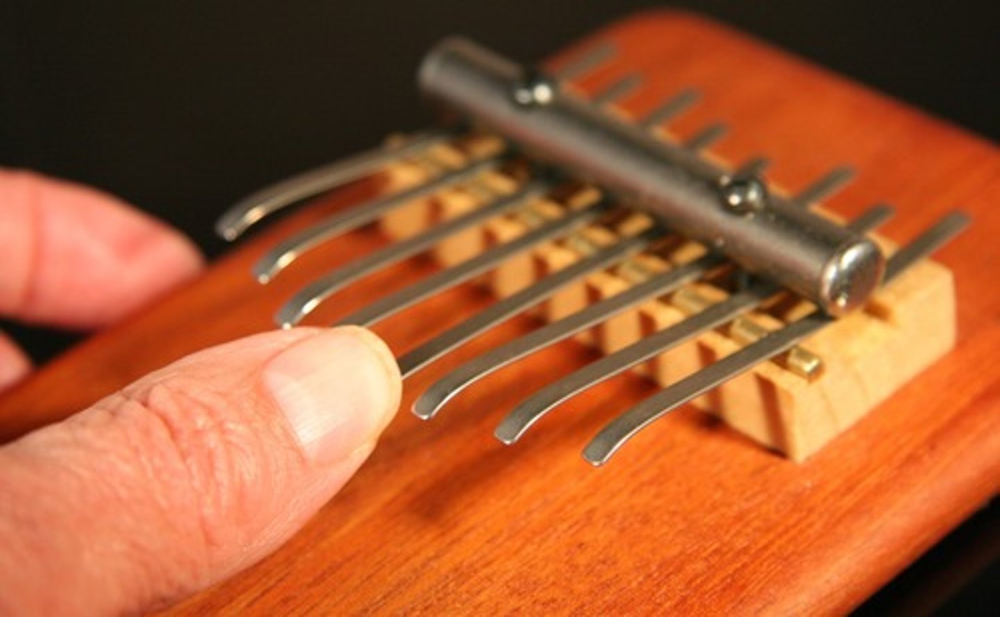 <p>an African thumb piano</p>