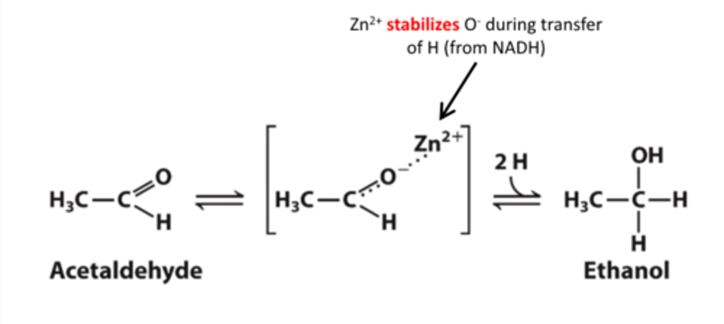 <p>· Simple metal catalysts</p>