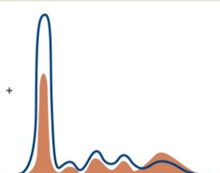 <p><span><span>Which pattern is pictured?</span></span></p>