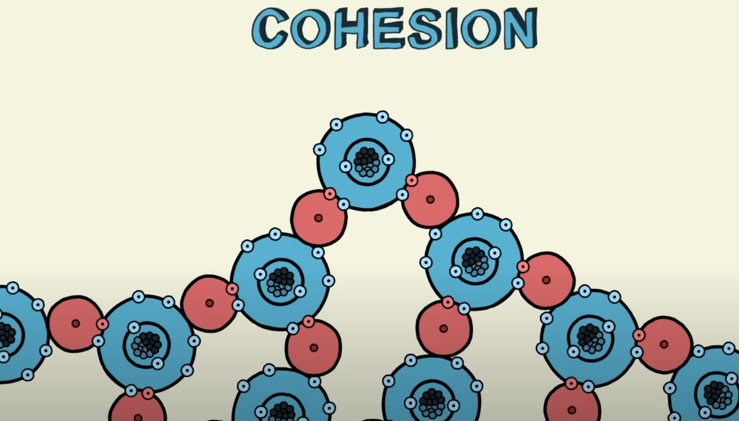 <p>Cohesion </p>