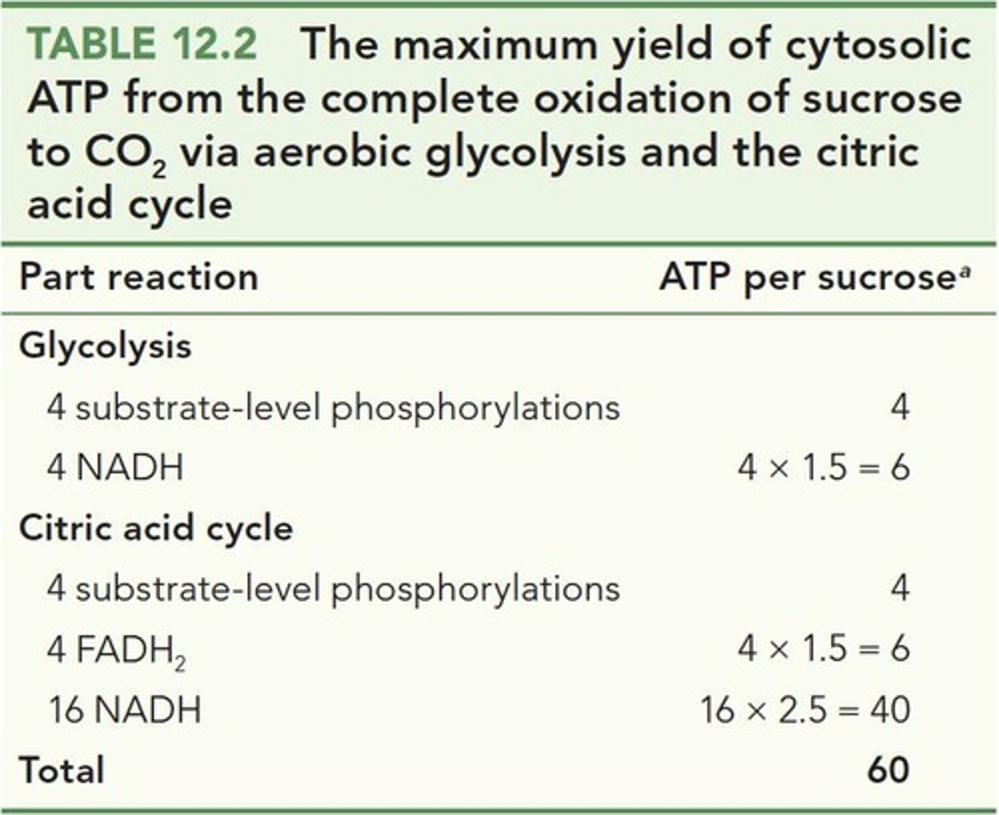 <p>Adenosine triphosphate, energy currency of cells.</p>