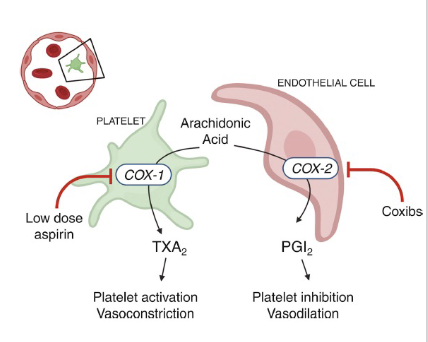 <p>a low dose of aspirin can be used to reduce the risk of recurrent myocardial infarction, stroke, and vascular death.&nbsp;</p><p>Aspirin inhibits COX-1 (constriction) and COX-2 (dilation), but COX-2 can regenerate</p>