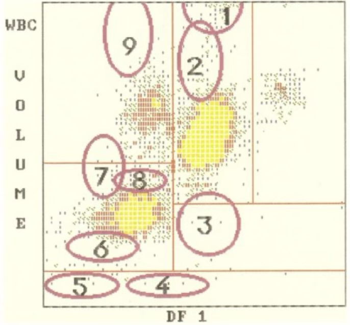 <p>what is located at 6 and 8?</p>