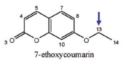 <p>Name Enzyme&nbsp;</p>