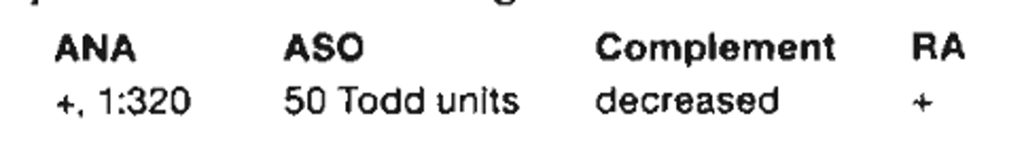 <p>c. lupus erythematosus</p>