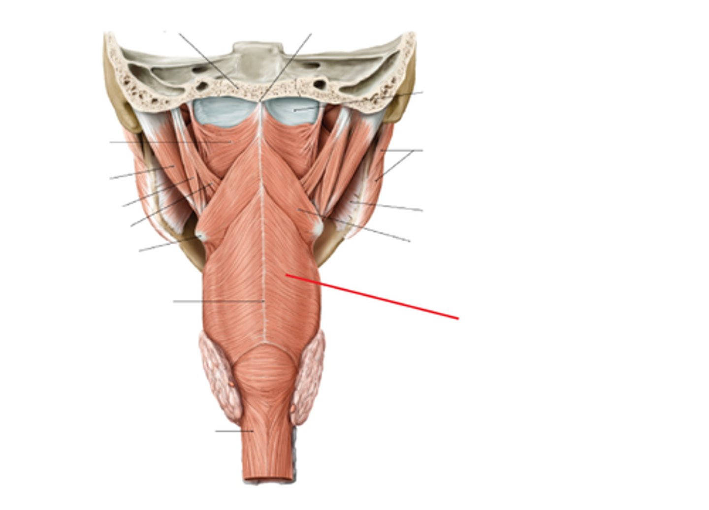 <p><em>identify the structure:</em></p>