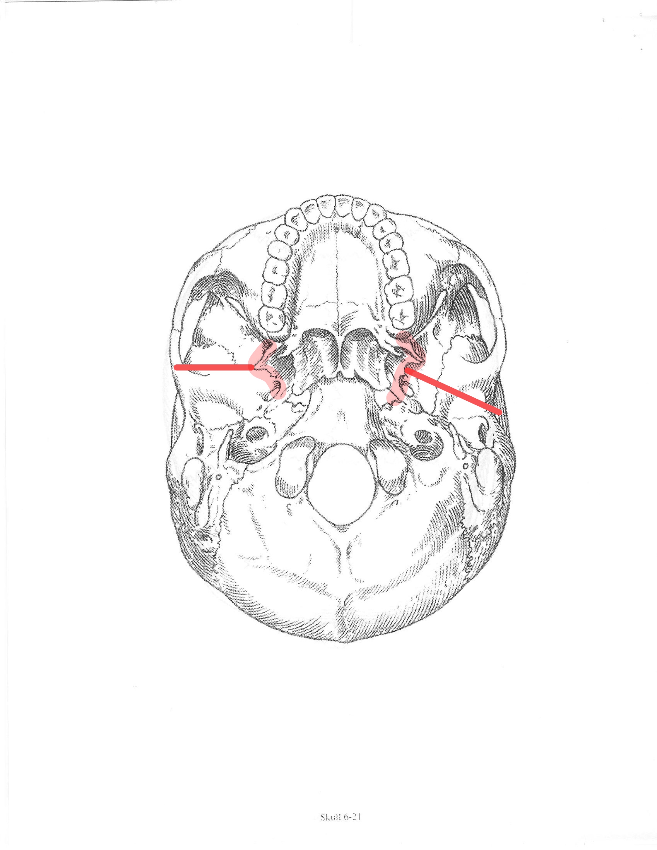 <p>ID feature</p>