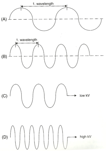 <p><span>the distance from one crest of the wave to the crest of the next wave&nbsp;</span></p>