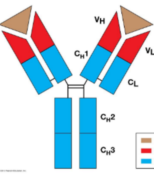 <p>What is the red region?</p>