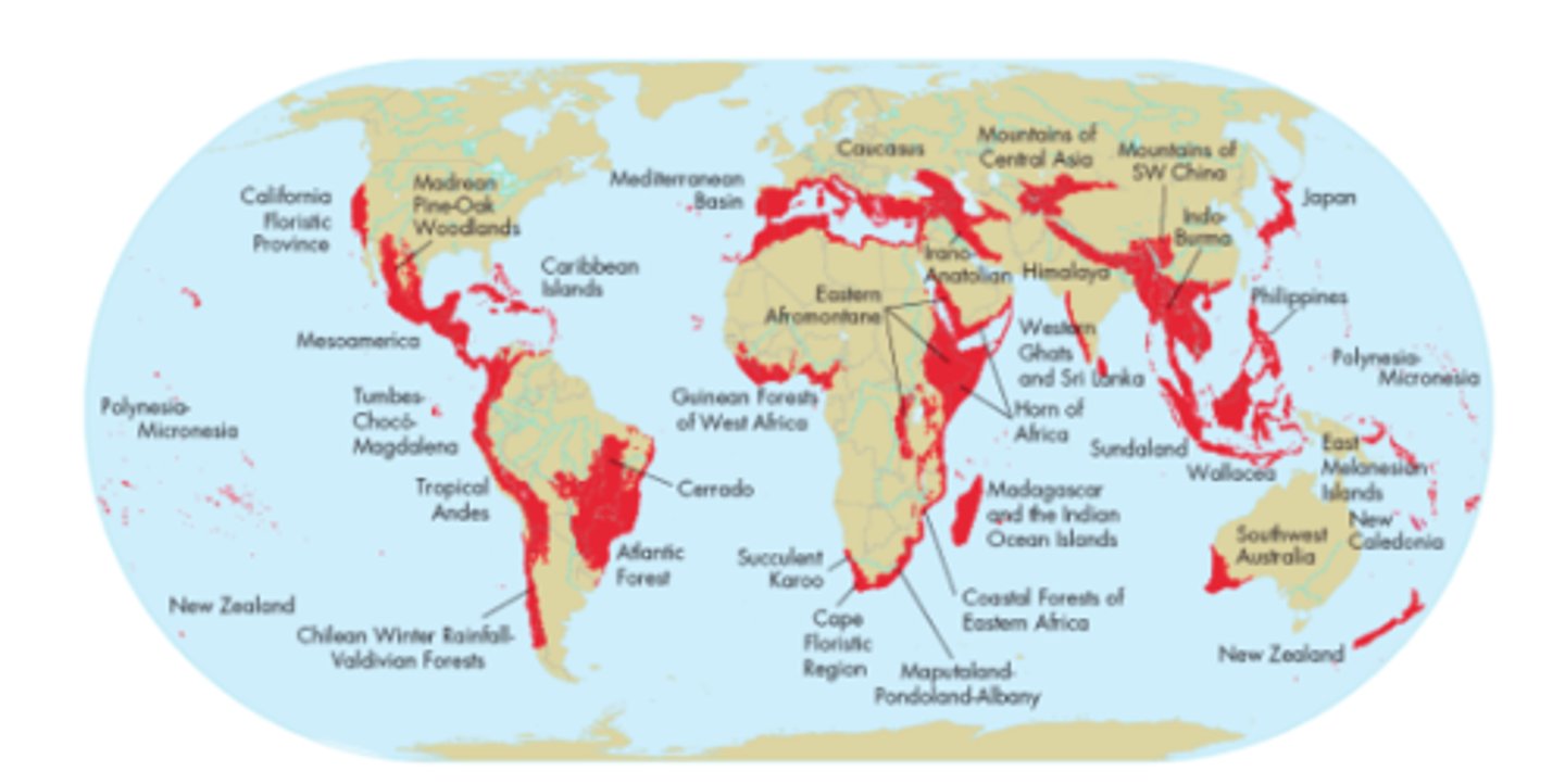 <p>A place where significant numbers of species and habitats are in immediate danger of extinction.</p>