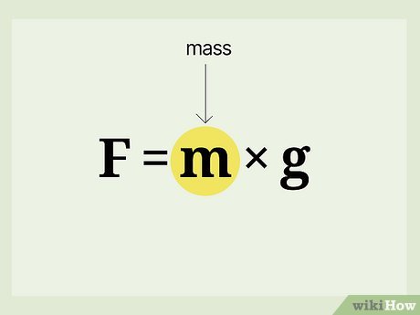 <p>Weight (N) = mass (kg) x GFS (N/kg)</p><p>W = mg</p>
