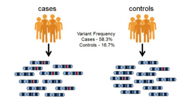 <ul><li><p>compare a group of cases (i.e. non-related people who share the same trait) to a group of controls (i.e. non-related people who do not have this trait)</p></li><li><p>observe the genetic variance that is of a higher frequency in the group of cases</p></li></ul>