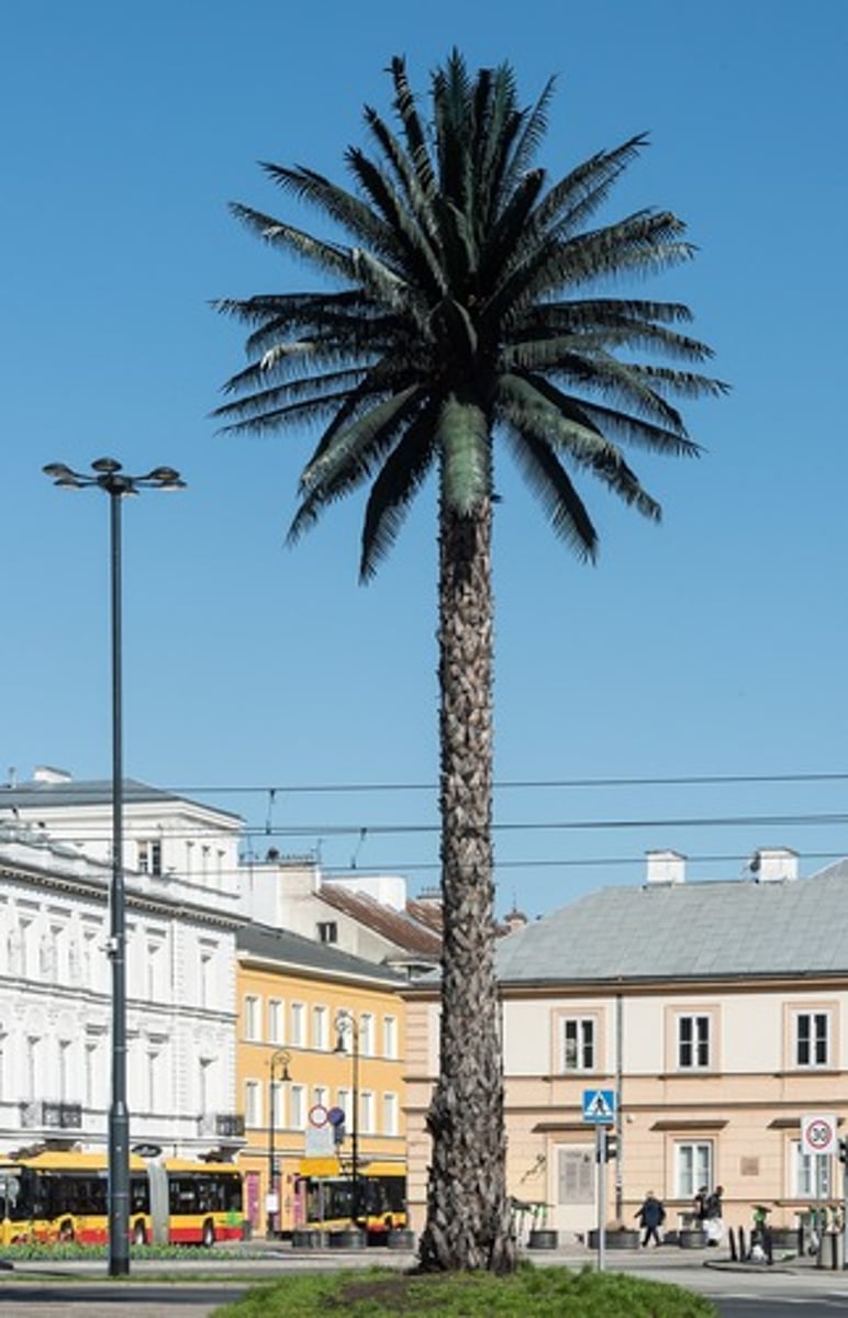 <p>rzeźba w poszerzonym polu / site-specific / antypomnik</p>