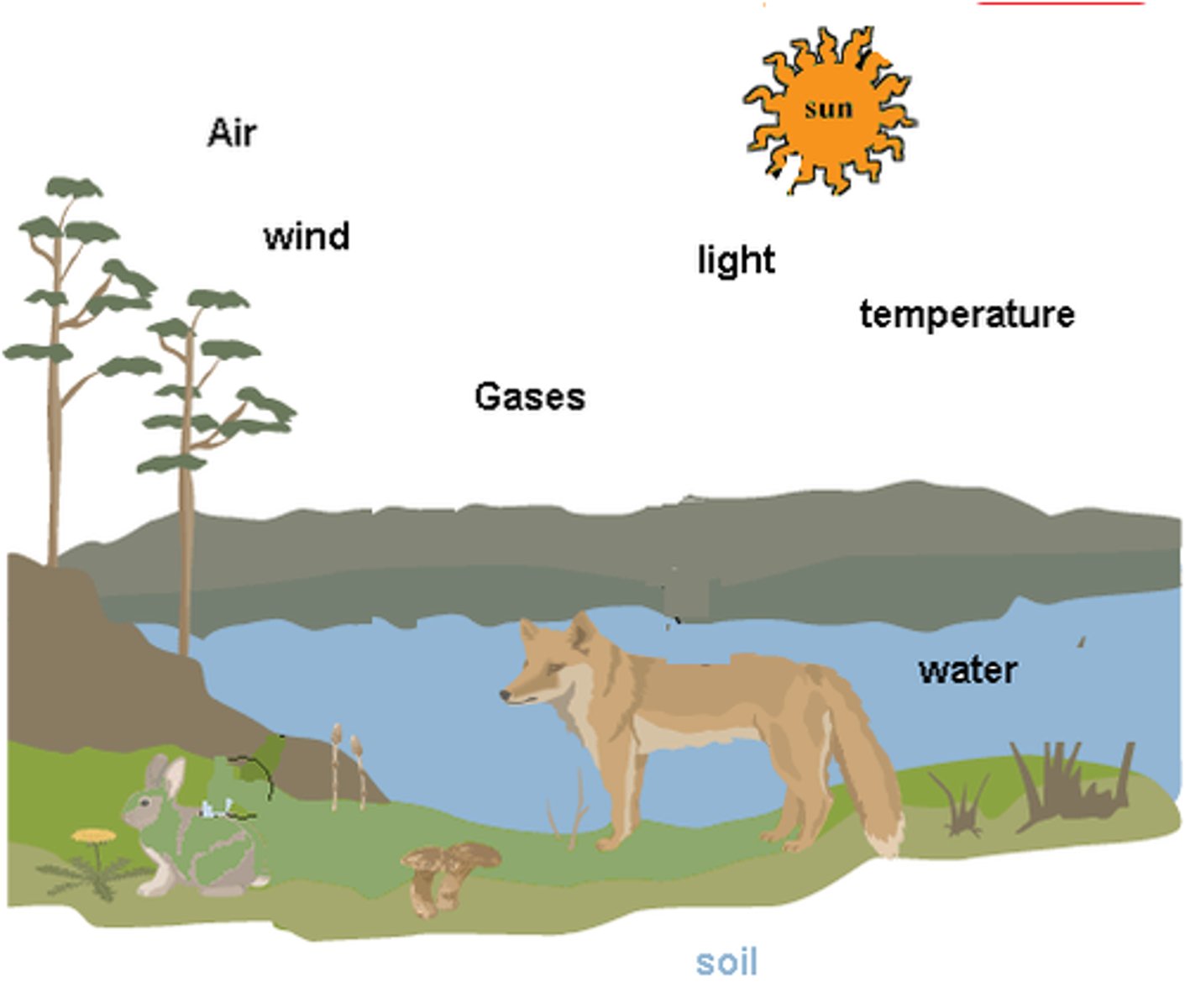 <p>The nonliving parts of an organism's environment. Examples include the wind, temperature, moisture, sunlight, rocks, soil, salinity (salt), and acidity (pH).</p>