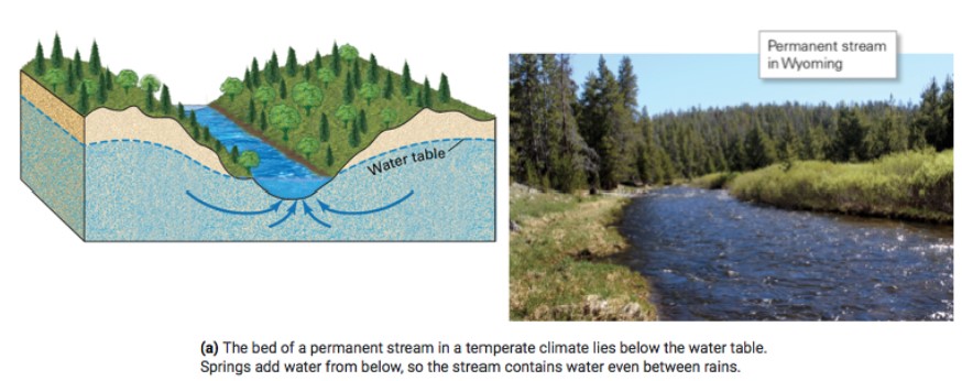 <ul><li><p>flows all yr, below the water table</p></li><li><p>recharge</p></li><li><p>in temperate climate</p></li></ul>