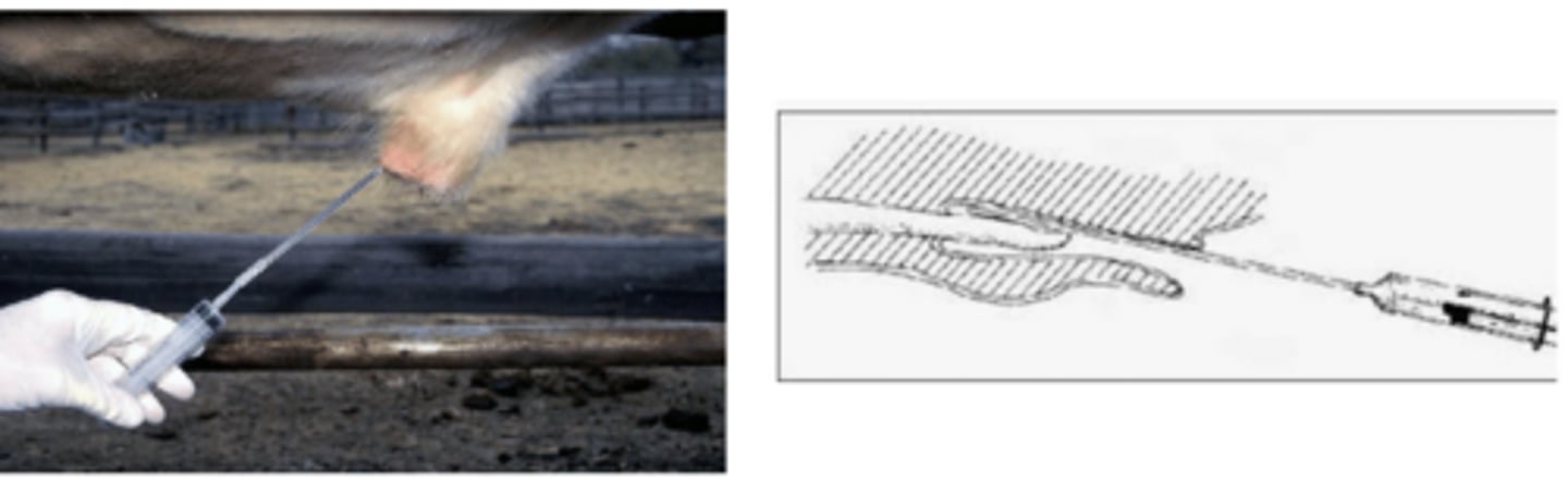 <p>What is this testing for?</p>