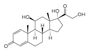 <p>prednisone</p>
