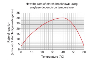<p>Explain the effects of temperature on enzyme activity</p>