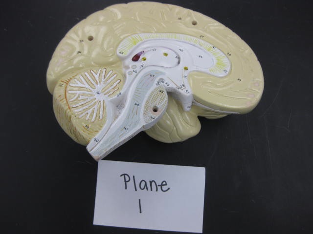 <p>Plane </p><p>Lab Image 1-5</p>