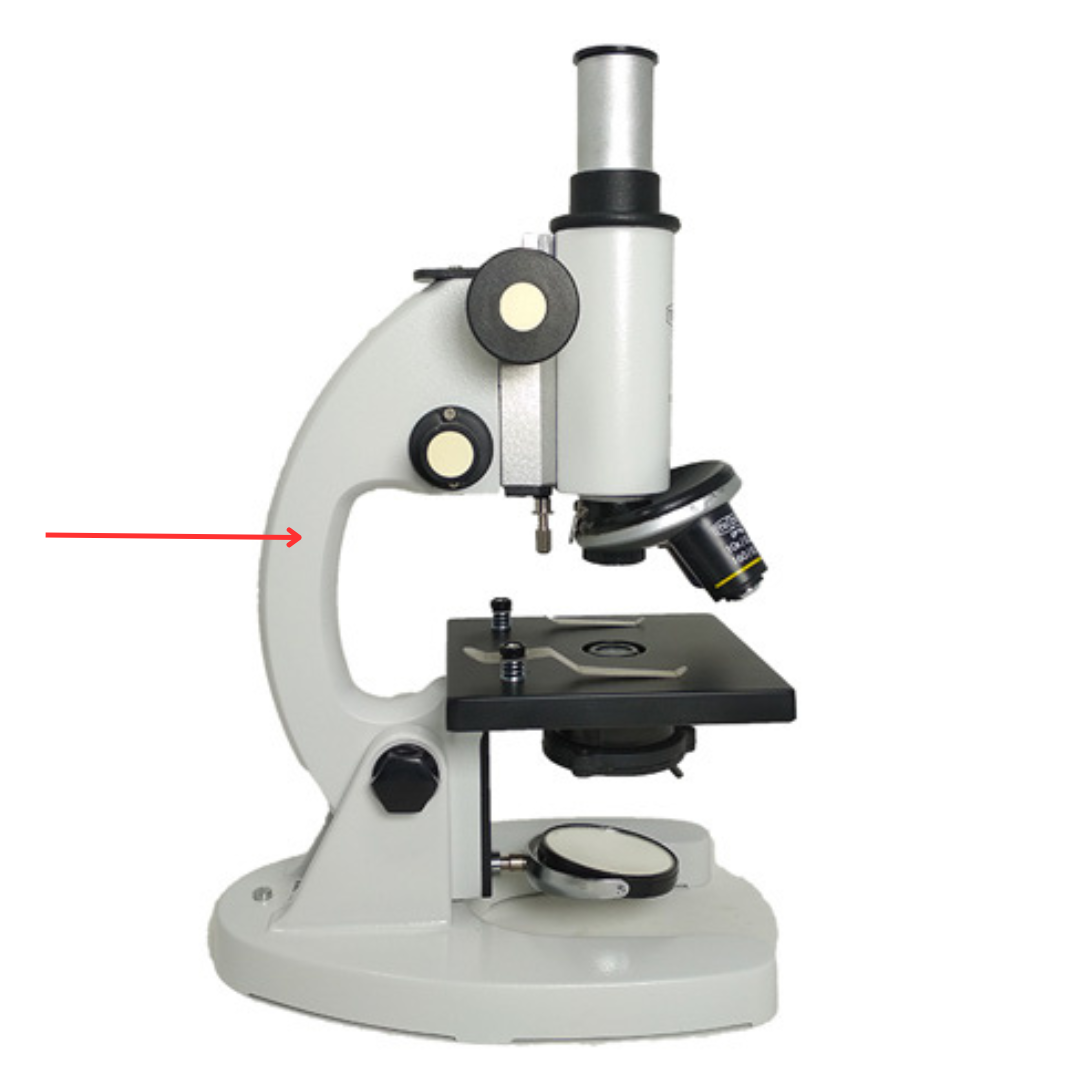 <p>Curved part grasped when carrying the microscope.</p>