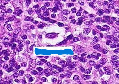 <p>What kind of cell is this?</p>