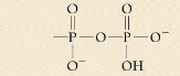 <p>what functional group or linkage is this?</p>