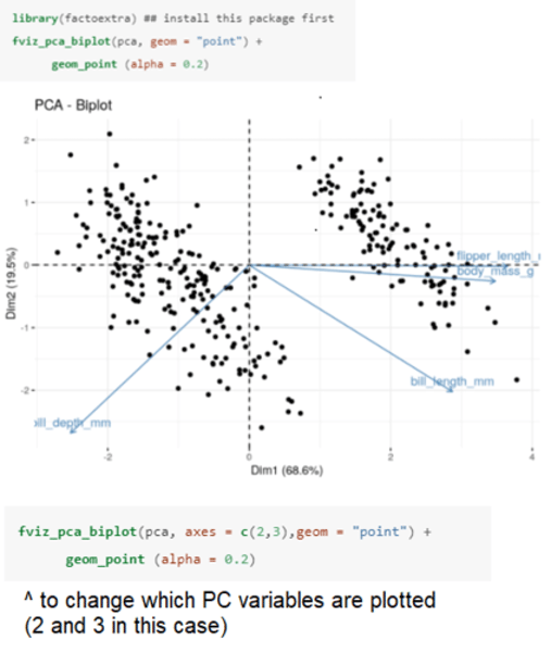 <p>Produces a biplot whereby the length of the arrows labeled by the original variables represents the magnitude of the loadings on the new variables, and where they point indicates the direction of that relationship (positive or negative). <br><br>• By default the first two new uncorrelated variables (PC1 and PC2) are plotted. <br><br>PC1 (x-axis) accounts for 68.6% of the variation. <br>• Bill length, flipper length, and body mass all have a strong positive relationship with PC1, while bill depth has a negative relationship with PC1. <br>• We can therefore think of this new variable as representing penguin "bigness". <br><br>PC2 (y-axis) accounts for just 19.5% of the variation. <br>• Neither flipper length nor body mass have much of a relationship with PC2 (both arrows are close to the zero line), however, both bill length and bill depth have a relatively strong negative relationship with PC2.<br>• Therefore we can think of this new variable as representing penguin "billness" (bill shape).</p>