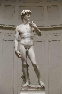 <p>David</p>