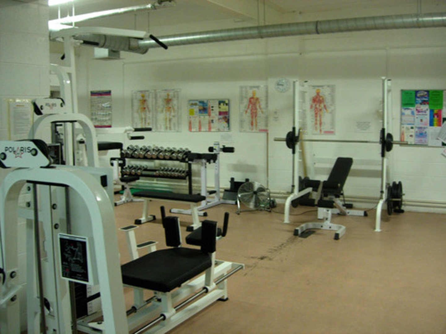 <p>gymnasium</p>