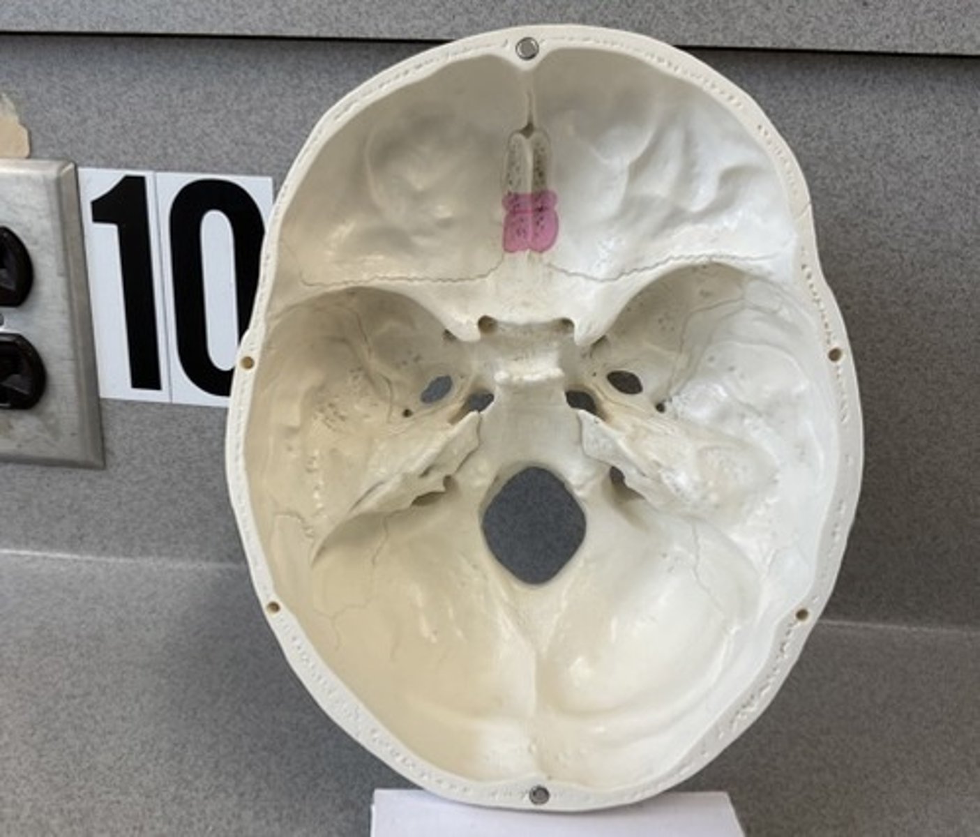 knowt flashcard image