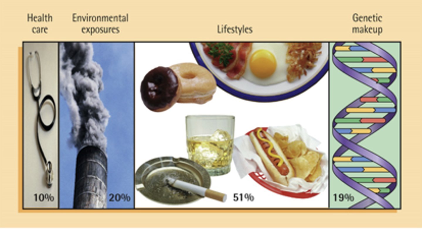 <p>1). Diet</p><p>2). Lifestyle Behaviors</p><p>3). Genetic Traits</p><p>4). Environment</p><p>5). Access to health care</p>