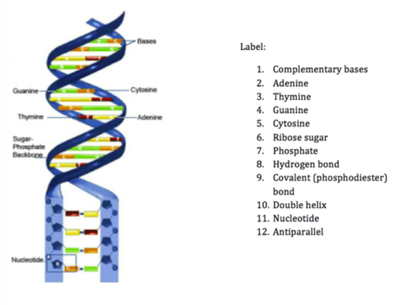 knowt flashcard image