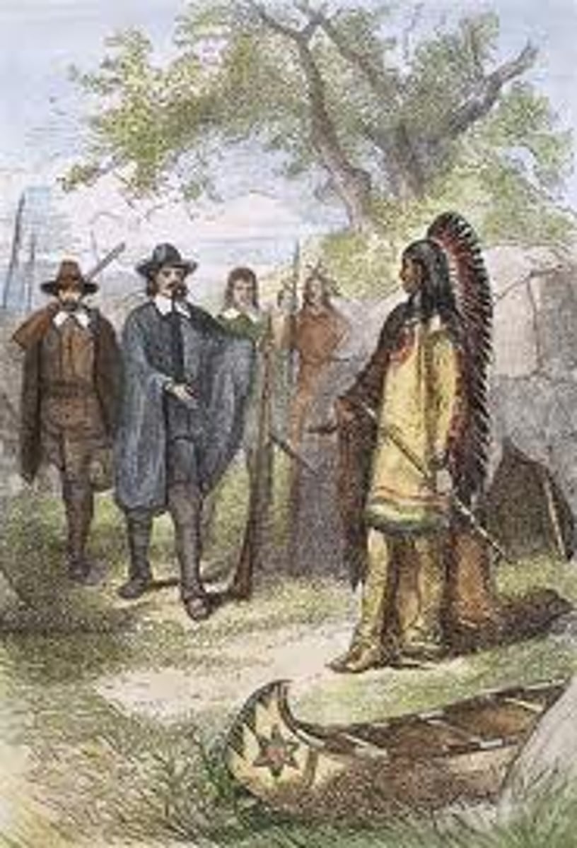 <p>What is one reason colonists came to America?</p>