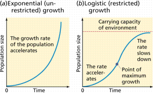 <p>Growth pattern in which a population&apos;s growth rate slows or stops following a period of exponential growth</p>