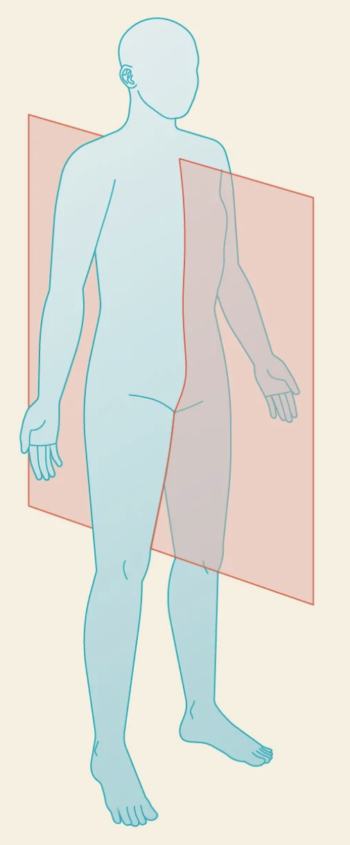 1) Sagittal

2) Midsagittal/Median

3) Parasagittal