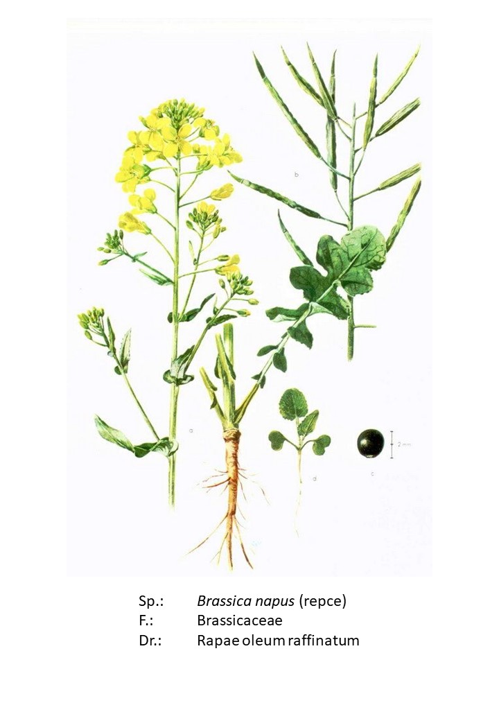 <p>repce</p>