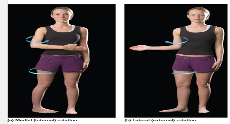 <p>movement around a longitudinal axis, both lateral and medial, <strong>forehand and backhand strokes in tennis</strong></p>