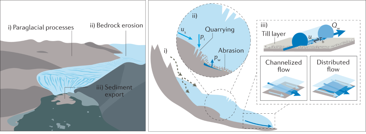 <ul><li><p><strong>Wave-cut cliffs and sea stacks</strong> (coastal erosion of headlands).</p></li><li><p><strong>Glacial U-Shaped Valleys and Moraines</strong> (glacial erosion and deposition).</p></li></ul><p></p>