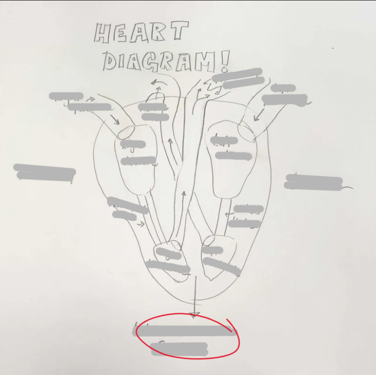 <p>What Structure is this? </p>