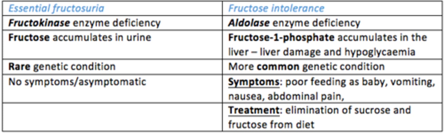 <p>Aldolase deficiency </p><p>- Fructose 1,6-bisphosphate accumulates in the liver</p><p>- This leads to liver damage, hypoglycaemia </p><p>- This is more common (1:20,000 births)</p><p>- Genetic</p>