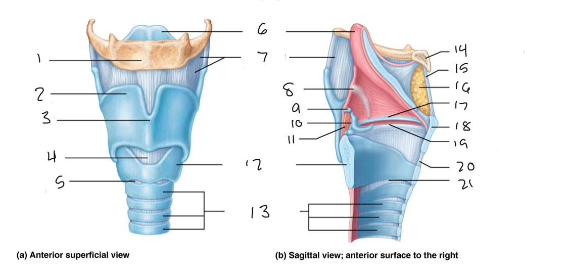 <p>6</p>
