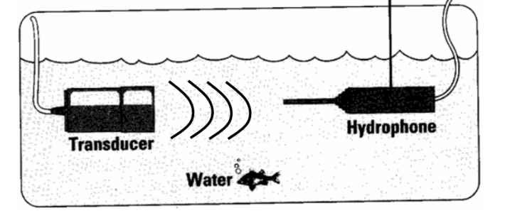 <p>A small (1mm) transducer that is placed in a water bath and assesses the ultrasound transducer.</p>