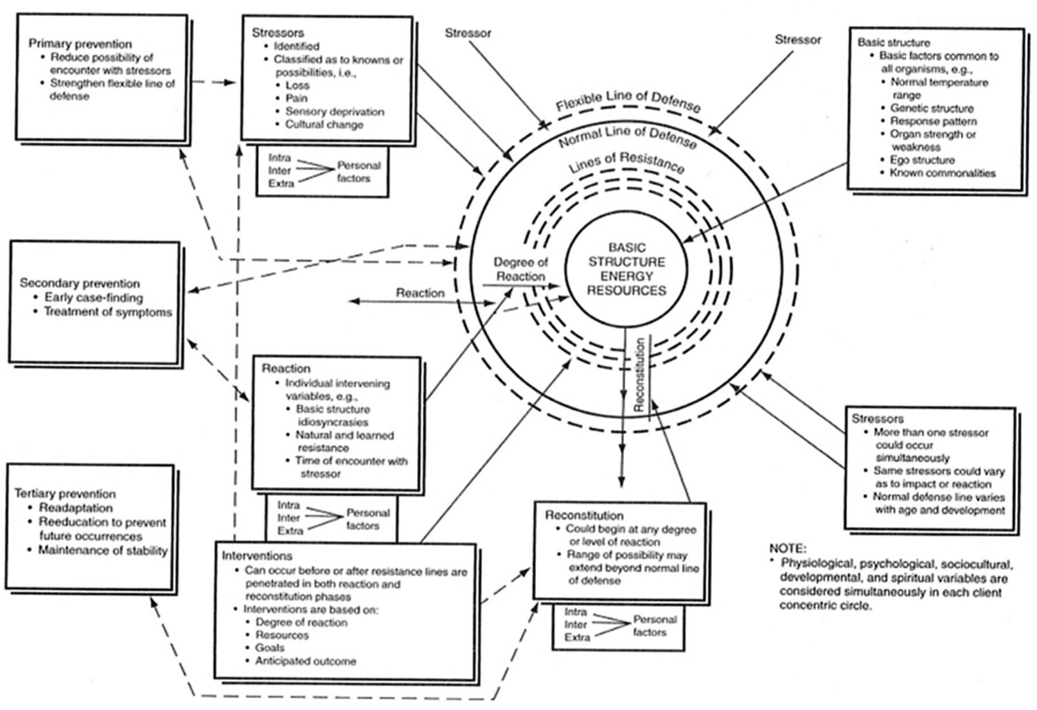 <p>made the Neuman Systems Model</p>