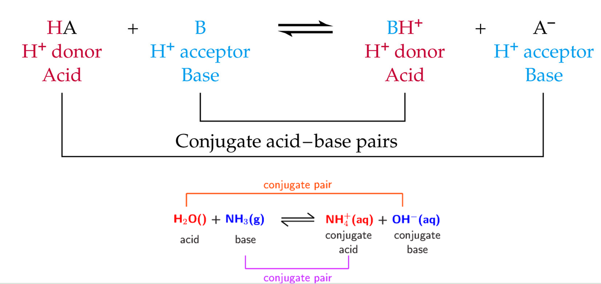 <p>When an acid donates a proton, it forms its conjugate acid</p><p><span>when a base accepts a proton, it forms its conjugate acid</span></p>