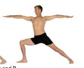<p>What Pose Is This?</p>