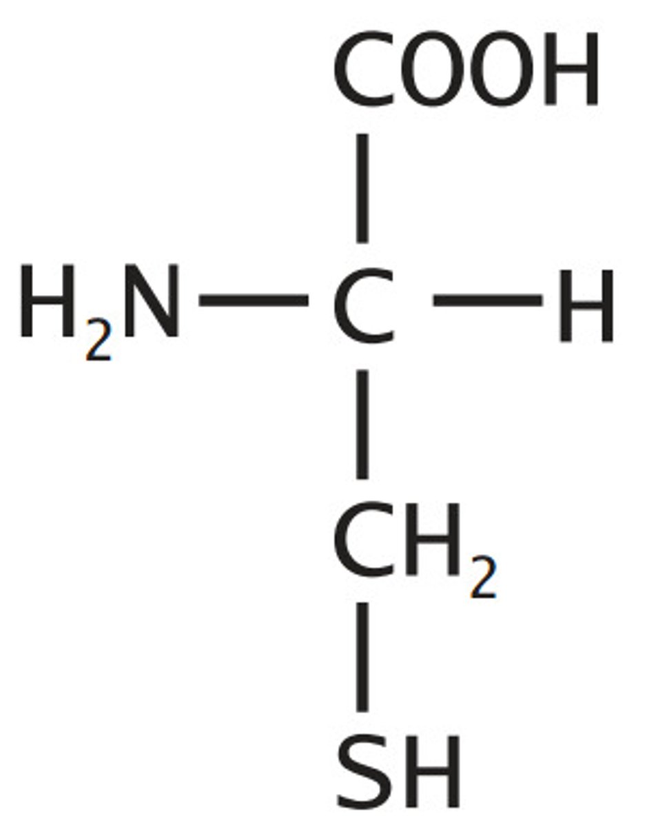 <p>sulfur containing</p>